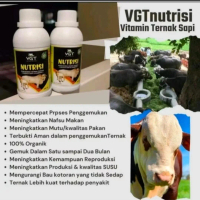 VGT NUTRISI SAPI/KAMBING/DOMBA