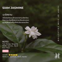 Hanky House ก้านไม้หอม กลิ่นโรงแรมหรู Reed Diffuser ก้านน้ำหอม 150ml น้ำหอมอโรม่า น้ำมันหอมระเหย ก้า