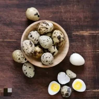 Telur puyuh sudah di rebus