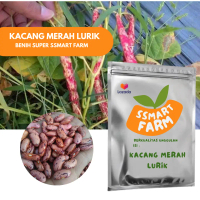 10 biji Benih BIJI BIBIT KACANG MERAH LURIK Unggul Berkualitas bibit tanaman Red