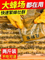 蜜蜂花粉漿養蜂專用發酵蜂糧喂蜂飼料2斤裝青海油菜代用花粉包郵