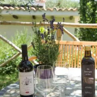 住宿 La Collina Degli Ulivi Forano