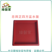 【綠藝家】忠興6吋正四方盆專用水盤磚紅色
