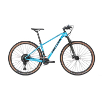 twitter mountainbikes WARRIORpro carbon MTB mountain bike 29er XT 2*12speed carbon fiber mountain bike for salecustom