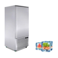 Commercial Restaurant Equipment Small Cooling Tunnel Machine Fish Quick Chiller Air Deep Chest Blast Freezer