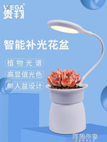植物燈 貴翔 智慧花盆全光譜植物燈多肉補光燈上色USB桌面植物LED生長燈 【麥田印象】