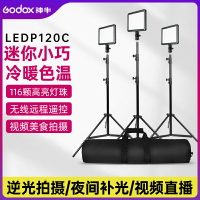 神牛P120c補光燈led攝像燈三燈套裝人像服裝燈光主播視頻拍攝燈雙色溫