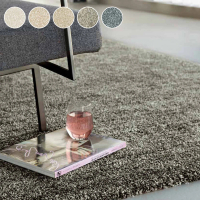 【范登伯格】羅納 經典素面厚織進口地毯(160x230cm/共五色)