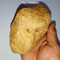 batu mustika klanceng putih  (498)