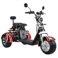 High Quality EEC/COC Certificated electric tricycles 2000W Double Seat 3 wheel Electric Scooters adult Citycoco