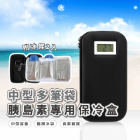 【隨身外出】中型多筆袋胰島素專用保冷盒-附冰條2入(顯溫 藥品冷藏盒 旅行 便式 藥物收納包 保冷袋)