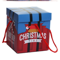 圣誕禮物盒送女生圣誕節蘋果盒平安夜蘋果包裝盒禮盒學生禮盒1入