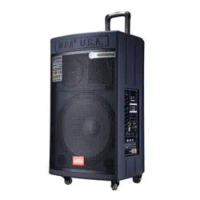 15 Inch Cambodia New Design Big Power Wooden Outdoor Professional Active Trolley Stage Speaker