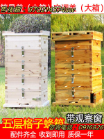 新款蜜蜂格子蜂箱土蜂土養誘蜂箱中蜂箱養殖格子箱五層箱金成蜂具
