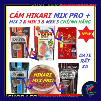 HIKARI Thức ăn tăng màu và tăng size HIKARI - Thức ăn cao cấp cho cá Đĩa Cầu Vồng Thần Tiên Phượng H