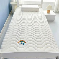 加厚床墊尺寸70x170家用床褥0.9米80x180x60x160x110x190x140大豆款-抗菌床墊-獨角獸白（舒適款）90*170cm