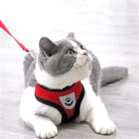 Tali Harness Rompi Kucing Tali Tuntun Kucing Anjing