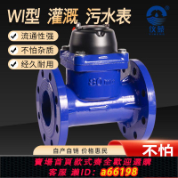 【台灣公司 可開發票】排污專用水表灌溉農用工業用干式可拆卸防凍冷水表法蘭DN50 DN100
