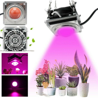 全光譜COB植物燈 LED 植物生長燈 300W 溫室 大棚蔬菜 育苗種植多肉補光燈