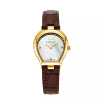 Aigner WOMEN'S WATCH - TRANI AGW.238002