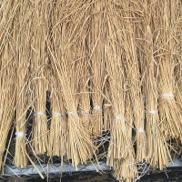 JUAL JERAMI PADI KERING 500 grm