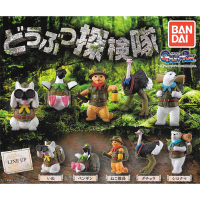 全套5款 日本正版 動物探險隊 扭蛋 轉蛋 叢林探險隊 探險動物 動物模型 BANDAI 萬代 - 726593