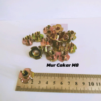(10 pcs) Mur Cakar M8 Kuning / Tee Nut M8 / Mur Tanam Kayu M8 / Tnut / Mur Furniture