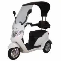 Mobility electric 3 wheel scooter with roof (J-09)