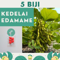 5 Benih Bibit Kedelai Benih Kedelai Edamame Super Bibit Sayuran Ryoko 75 Kacang Jepang Unggul Tanama