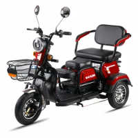 600W 48V Electric Tricycle with Passenger Dirt Bike EV Adult Tricycles 3 Wheel Motorcycle