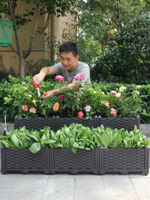種菜盆陽臺種植箱多層架子適合的方形花盆長條型專用神器家庭室內