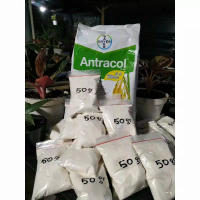 Antracol 70wp FUNGISIDA