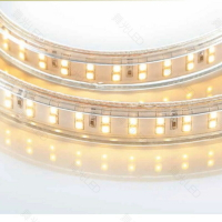 (A Light) 客製 保固一年 直接插電源 就能使用 LED軟條燈 50cm  電壓 110V 暖白 黃光 50公分
