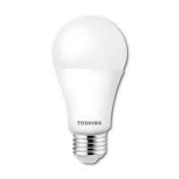 【TOSHIBA 東芝】10入 光耀 9.5W LED燈泡 E27 省電燈泡(白光/中性光/黃光)