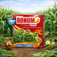 HERBISIDA SELEKTIF BONUM 610 SC 500 ML digunakan untuk mengendalikan gulma pada tanaman jagung , rum