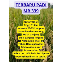 Bibit Benih Padi Mr 339 Original Kemasan 1 Kg