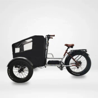 2023 Large Size Child Seat Front Loading Three Wheel Electric Cargo Bike E Cargo Bike with Rain Cover