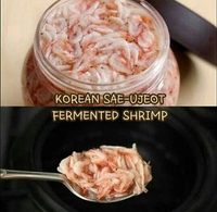 Fermented Shrimp Saeujeot Ebi Korean Saujeot Fermentasi Udang Korea