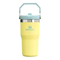 Tumbler Stanley Ice Flow Classic Flip Straw2.0 Tumb 20 oz tempat minum Pomelo