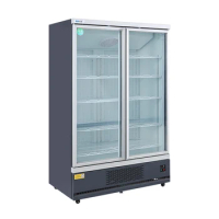 Supermarket multi sliding glass door upright commercial freezer