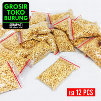 SEMPATI GROSIR Benih Rumput Biji Gandum Bibit Rumput Kucing Organik Isi 12 Pcs Cat Grass Wheatgrass 
