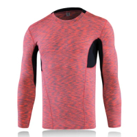 New Autumn Quick Dry Running Shirt Compression Fitness Tight T-Shirt Blouse Jersey Gym Sport Bodybuilding Men's TShirt