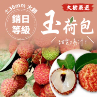 【YADE LANS 雅德藍思】大樹益生菌玉荷包±36mm玉荷包5斤×1盒(銷日等級_外銷級選果_去枝葉)