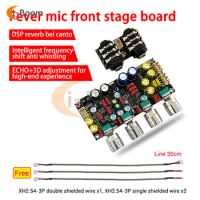 AMP Karaoke Reverb Board Microphone Karaoke Singing Front Effector Board DSP Mixing Anti Howling DC 8-26V