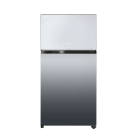 【TOSHIBA 東芝】608公升一級能效雙門-3℃抗菌鮮凍鏡面冰箱(GR-AG66T（X）)
