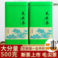 新茶毛尖茶葉信陽原產明前特級嫩芽濃香型綠茶散裝毛尖茶500g