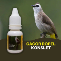 Doping Vitamin Burung Trucukan Premium Biar Gacor Ropel Konslet Jamu