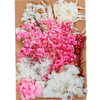 【A-ONE】花材 乾燥花材 乾燥花 DIY浮游花 不凋花 永生花 乾燥花花材 捧花 C10 火樹銀花