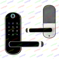 Home Fingerprint Door Lock Smart Wifi