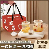 多功能養生電燉杯雙底座迷你小型玻璃養生杯燉煮一體養生壺禮品杯